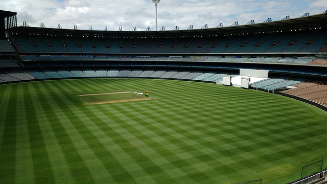 支持者眼中 支持者眼中