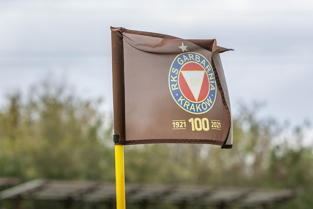 罗那的比赛 罗那的比赛