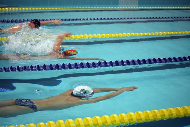 比约基奇的 比约基奇的