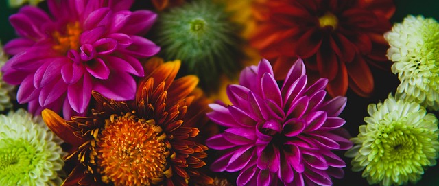 打乱了竞争 打乱了竞争